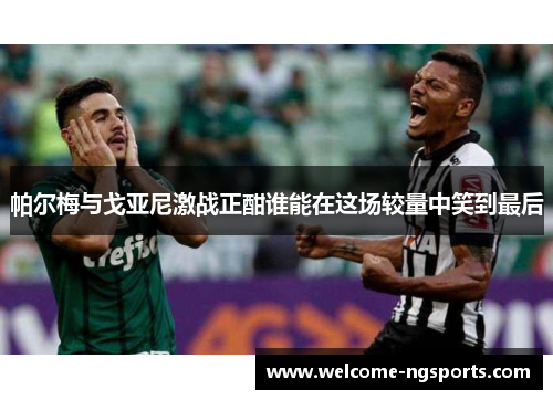 帕尔梅与戈亚尼激战正酣谁能在这场较量中笑到最后