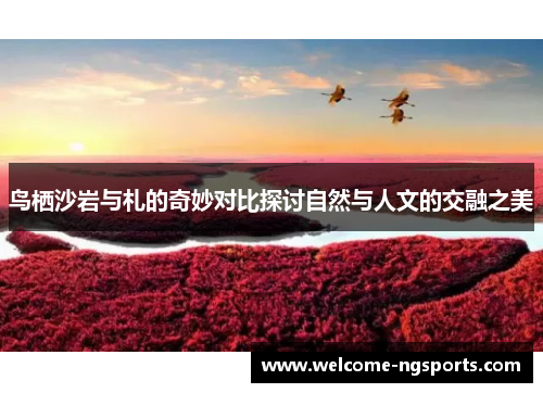 鸟栖沙岩与札的奇妙对比探讨自然与人文的交融之美